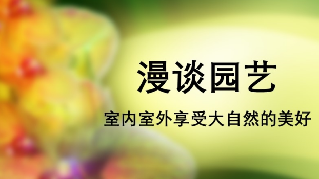 漫谈园艺