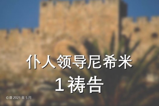 仆人领导尼希米