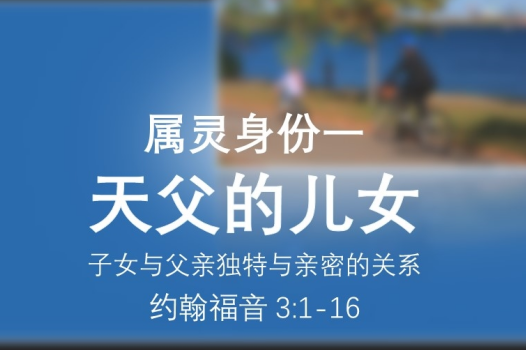 属灵身份系列