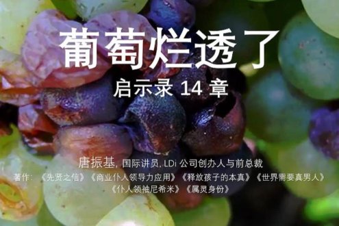 葡萄烂透了启示录十四章