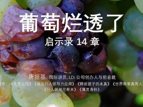 葡萄烂透了启示录十四章