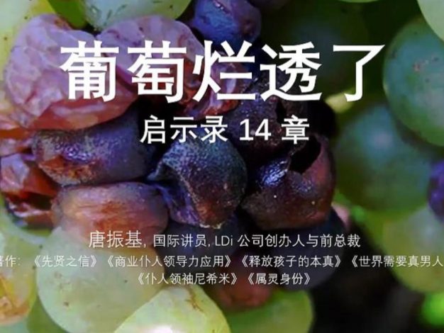 启14章 葡萄烂透了